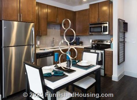 The Standard Domain - Hi-Rise - 3211 Palm Way, Austin, TX  78758 - LG - 4999103