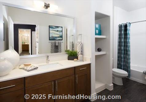 The Standard Domain - Hi-Rise - 3211 Palm Way, Austin, TX  78758 - LG - 4999105