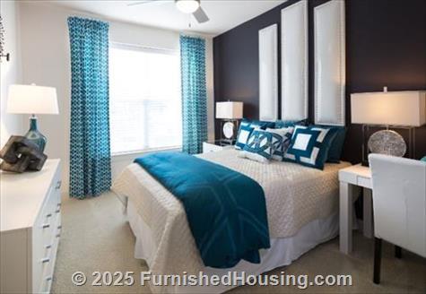 The Standard Domain - Hi-Rise - 3211 Palm Way, Austin, TX  78758 - LG - 4999106