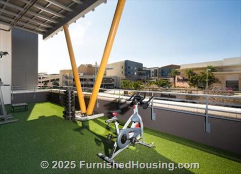 The Standard Domain - Hi-Rise - 3211 Palm Way, Austin, TX  78758 - LG - 4999109