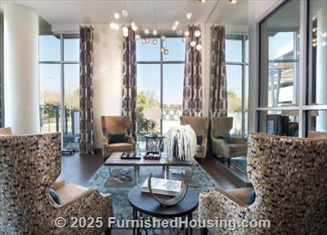 The Standard Domain - Hi-Rise - 3211 Palm Way, Austin, TX  78758 - LG - 4999110