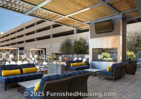 The Standard Domain - Hi-Rise - 3211 Palm Way, Austin, TX  78758 - LG - 4999111