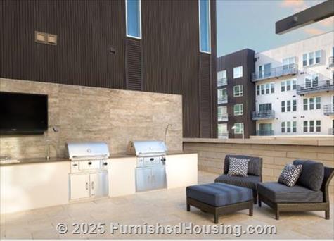 The Standard Domain - Hi-Rise - 3211 Palm Way, Austin, TX  78758 - LG - 4999112