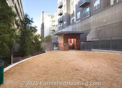 The Standard Domain - Hi-Rise - 3211 Palm Way, Austin, TX  78758 - LG - 4999113