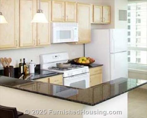 The Streeter -  - 345 E. Ohio Street, Chicago, IL  60611 - LG - 65947