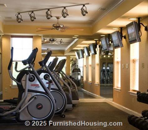 The Village Lofts At North Elm -  - 309 Pisgah Church Road, Greensboro, NC  27405 - LG - 530249