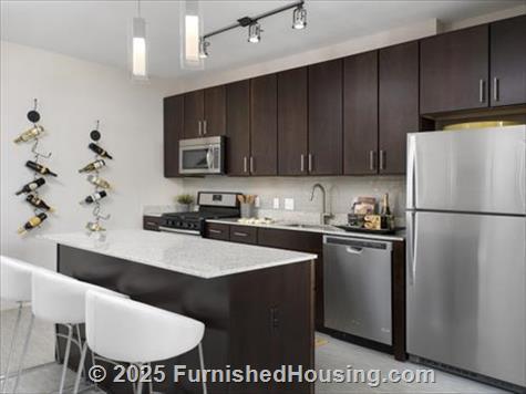 Vantage Oak Park -  - 150 Forest Ave, Oak Park, IL  60301 - LG - 4904364