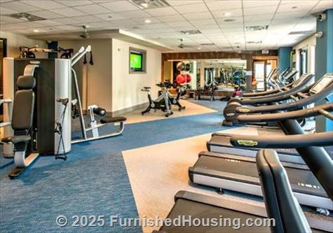 Vela -  - 555 N College Avenue, Tempe, AZ  85281 - LG - 4779463