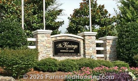 Vinings at Newnan Lakes -  - 80 Newnan Lakes Blvd, Newnan, GA  30263 - LG - 5157283
