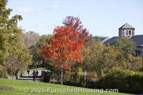 Vox on Two - Low-Rise - 223 Concord Turnpike, Cambridge, MA  02140 - LG - 3509611