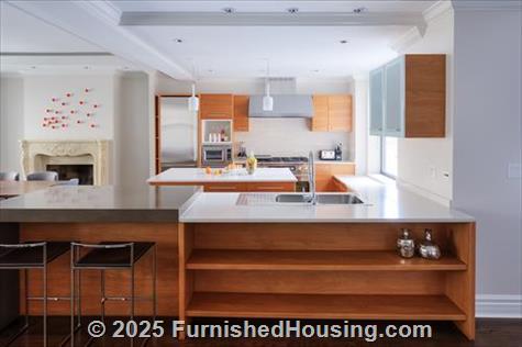 Walton Residence - hi-rise - 70 East Walton Street, Chicago, IL  60611 - LG - 5507526