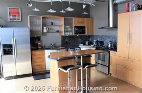 Waterside Lofts of Denver -  - 1401 Wewatta Street, Denver, CO  80202 - LG - 8375704