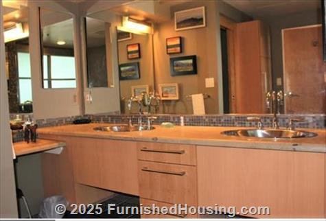 Waterside Lofts of Denver -  - 1401 Wewatta Street, Denver, CO  80202 - LG - 8375706