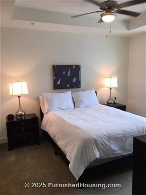 Whitley Apartments - Hi-Rise - 301 Brazos Street, Austin, TX  78701 - LG - 8737782