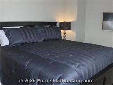 Windsor Condos -  - 1777 Larimer Street, Denver, CO  80202 - LG - 3162696