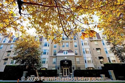 Windsor at Hancock Park -  - 445 N Rossmore Avenue, Los Angeles, CA  90004 - LG - 5409647