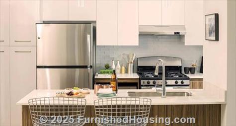 Wolf Point West -  - 343 West Wolf Point Plaza, Chicago, IL  60654 - LG - 4499192