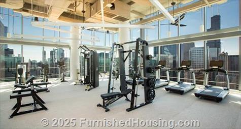 Wolf Point West -  - 343 West Wolf Point Plaza, Chicago, IL  60654 - LG - 4499193